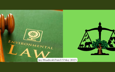 Environmental Jurisprudence in India: Tracing the Trajectory