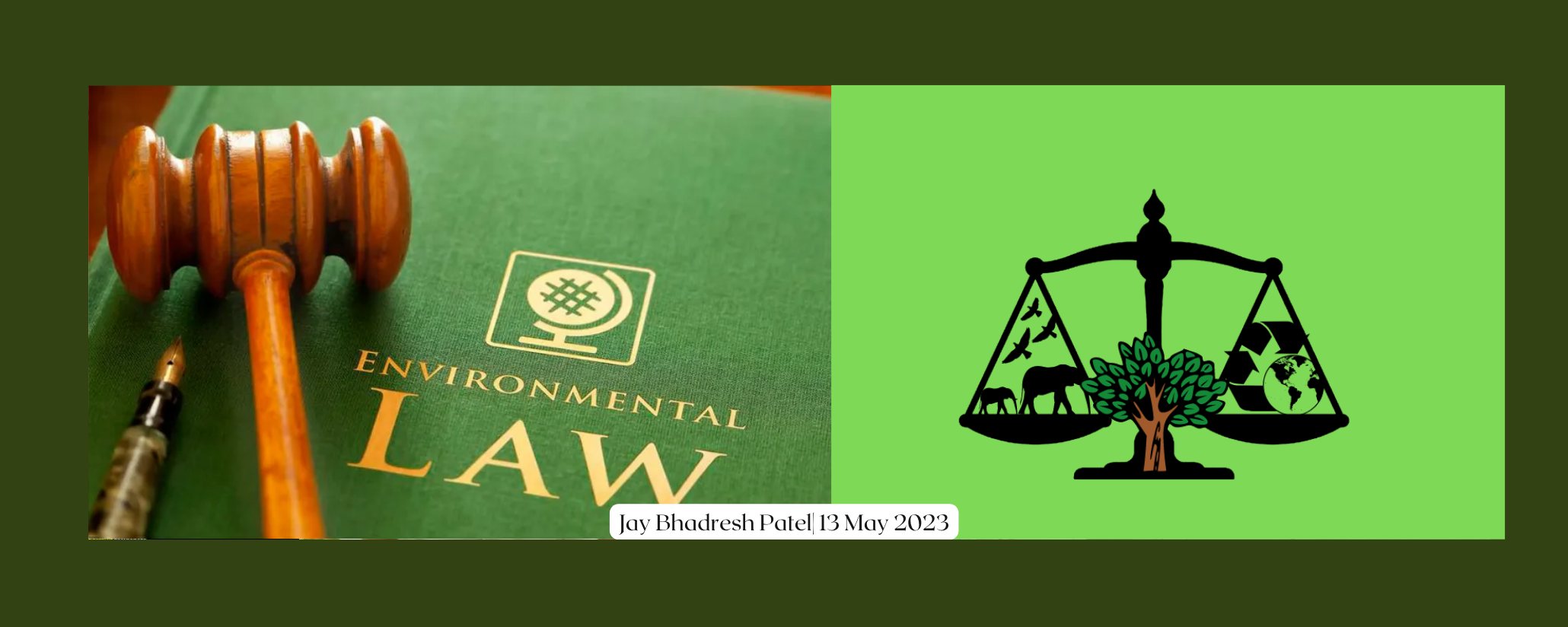Environmental Jurisprudence in India: Tracing the Trajectory